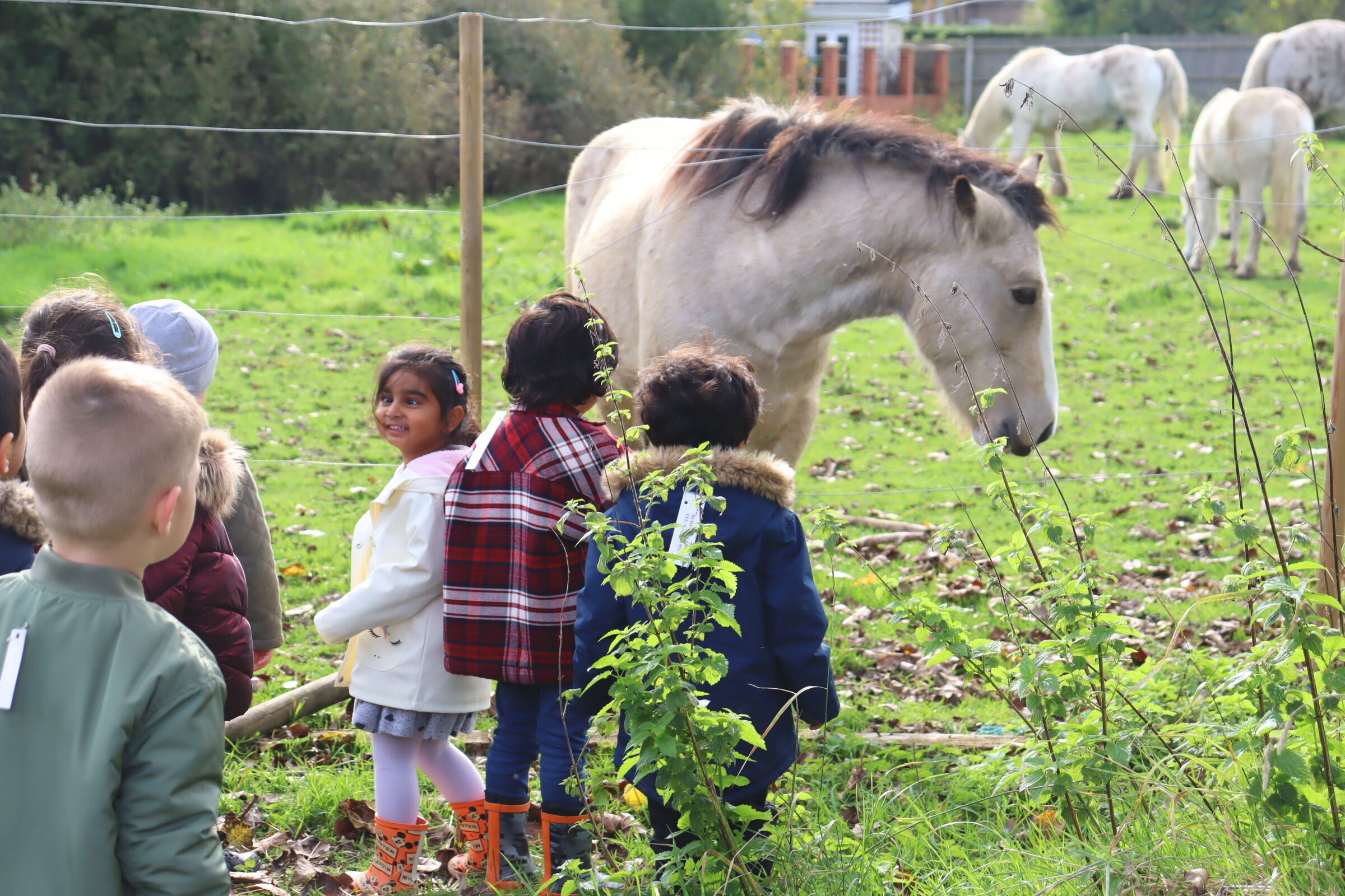 Budding learners excitedly enjoying the sight of a horse during their nature walk, all smiles