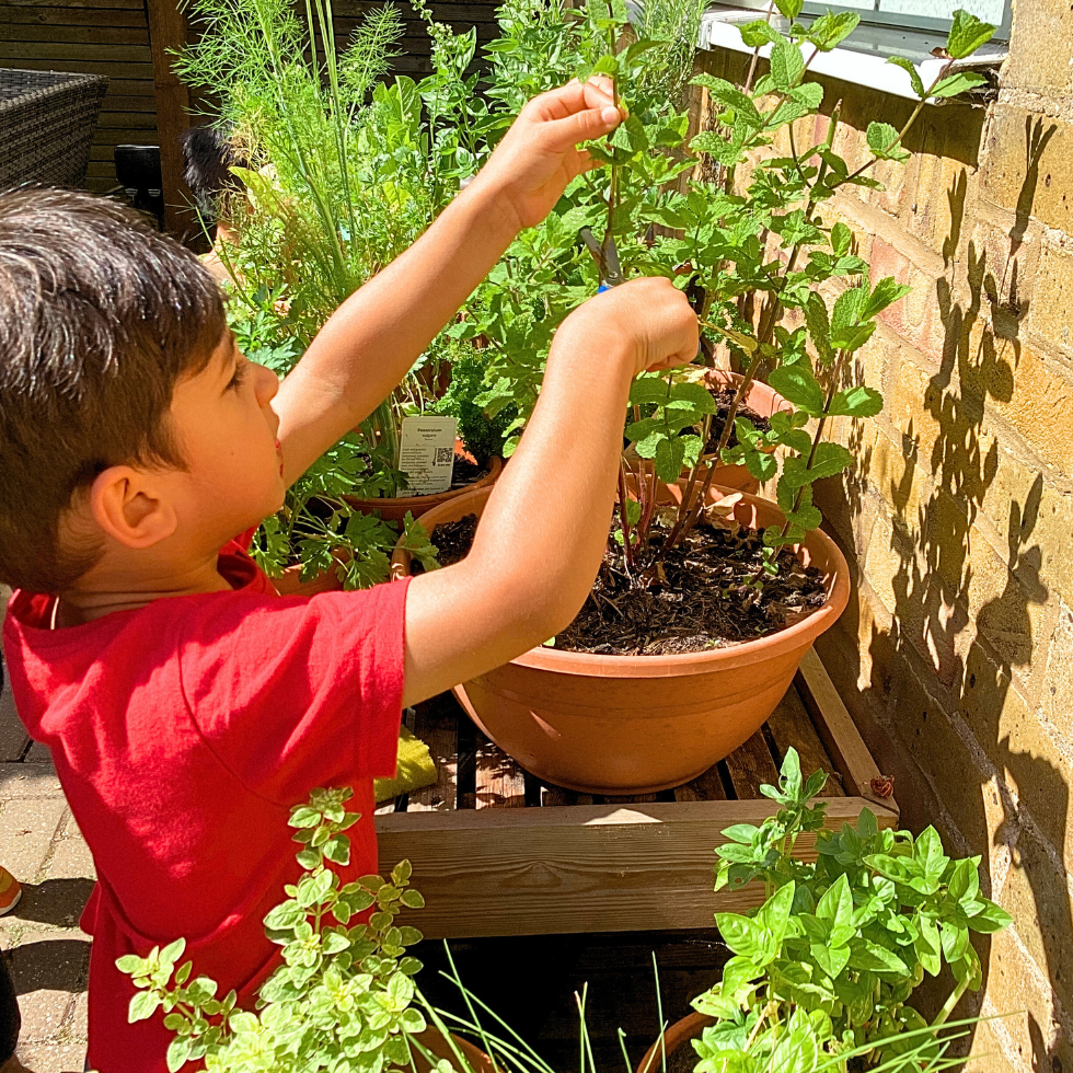 A Great Learner eating breakfast