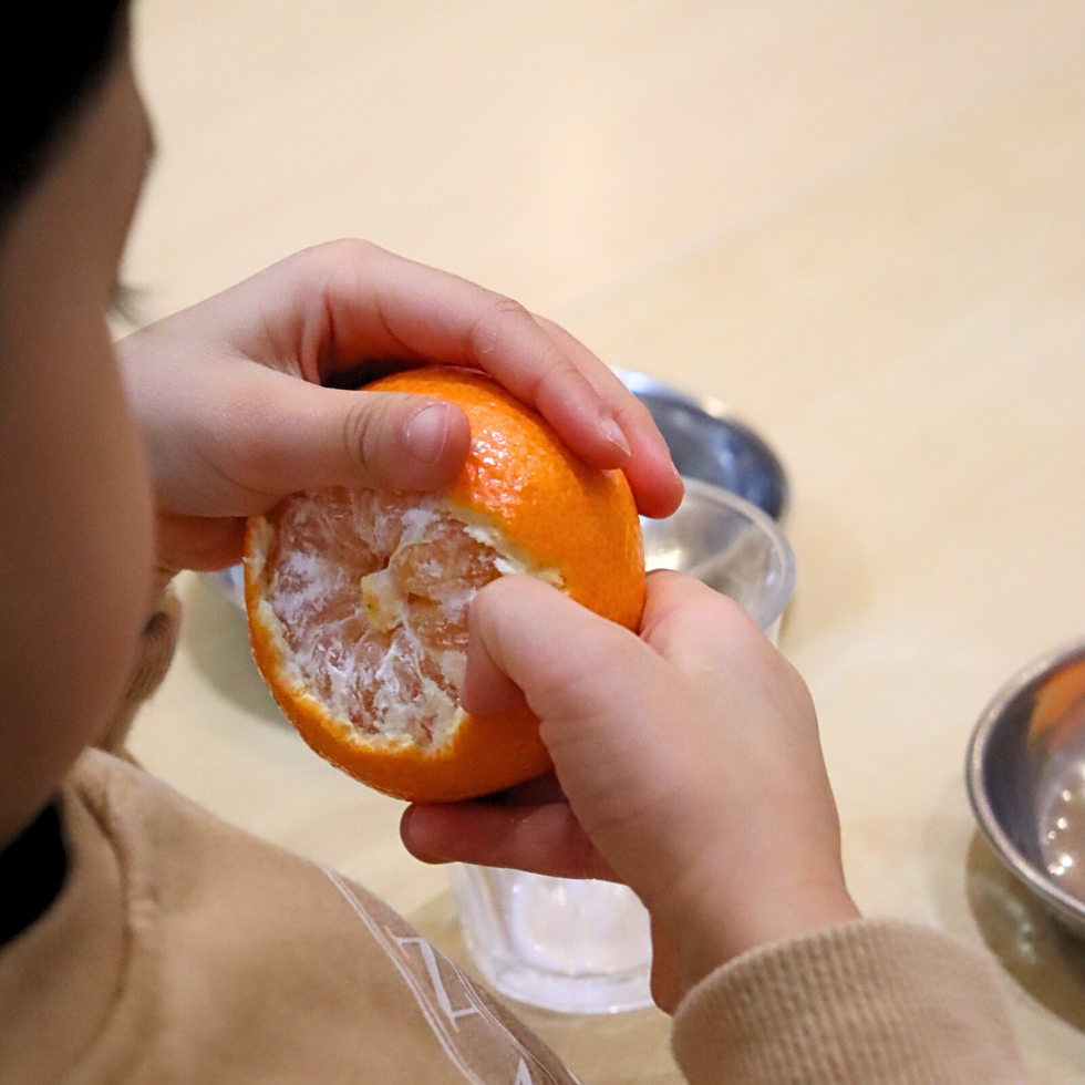 A Great Learner peeling an clementine